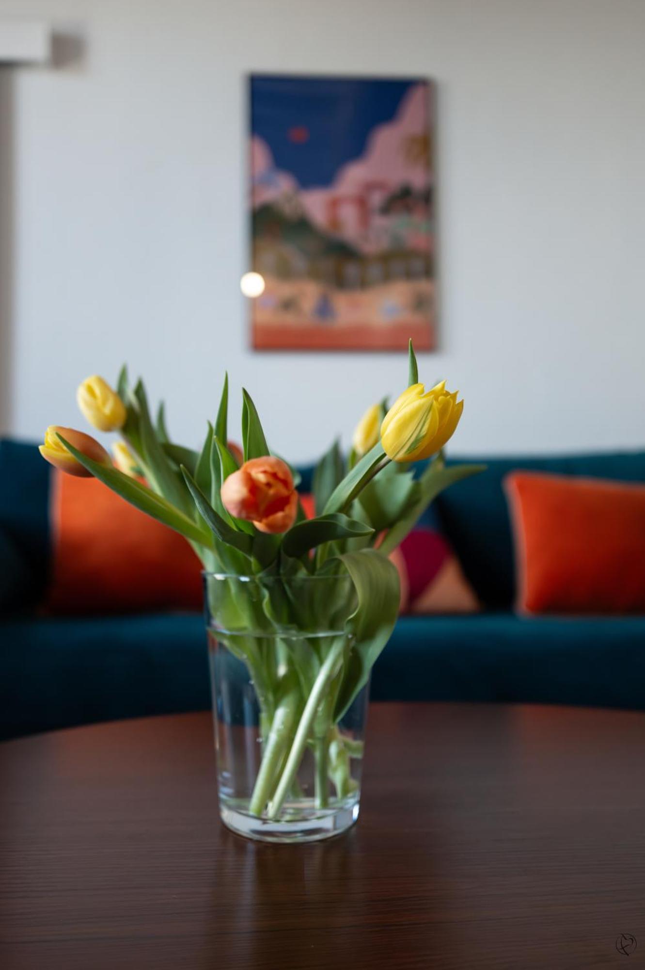 Orange Sunset Apartment Draguignan Exterior foto